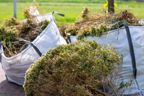 Best Property Management Cleanouts  in Springfield, FL