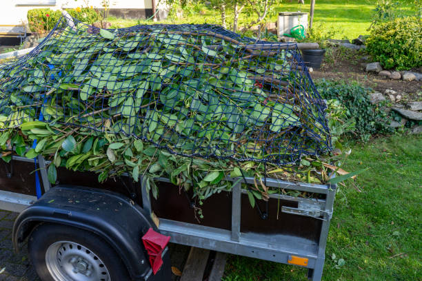 Best Moving and Downsizing Cleanouts  in Springfield, FL